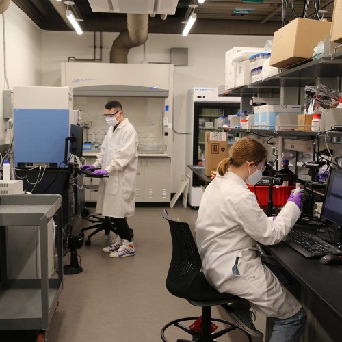 Students working in a lab.