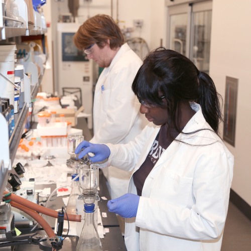 Students working in a lab.
