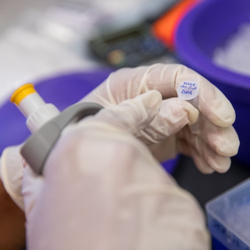 Preparing to Pipette DNA