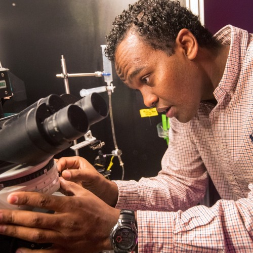 Man Focusing Microscope