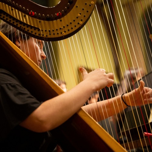 Woman Playing the Harp