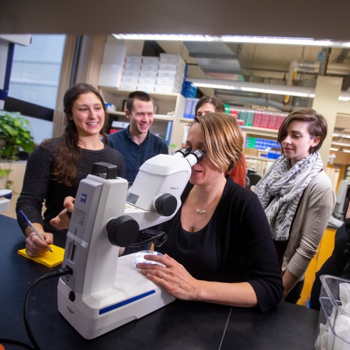 Students Looking Through Microscope